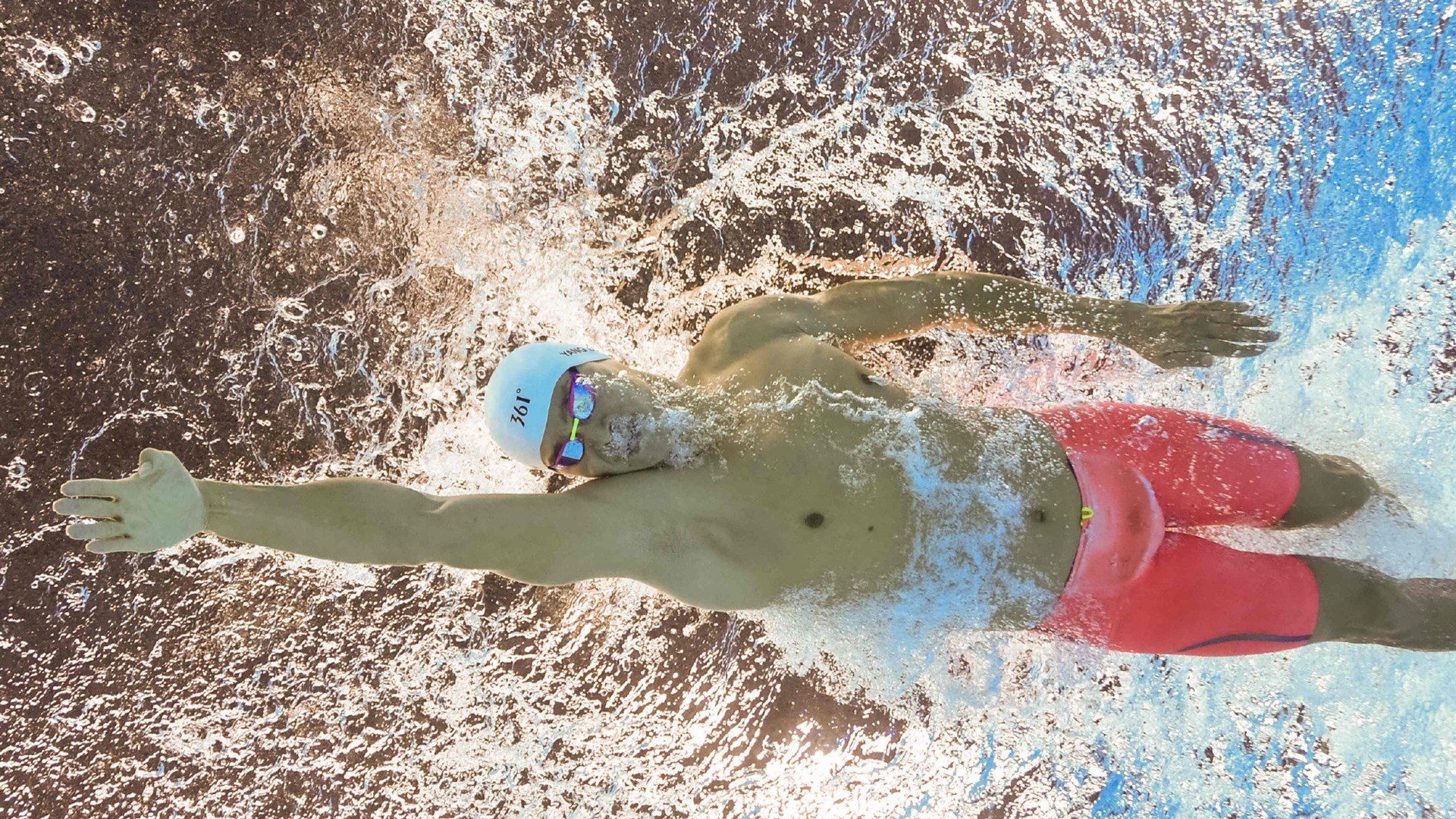 伊朗马术协会举办青少年马术交流活动，促进国际友谊。，伊朗马种